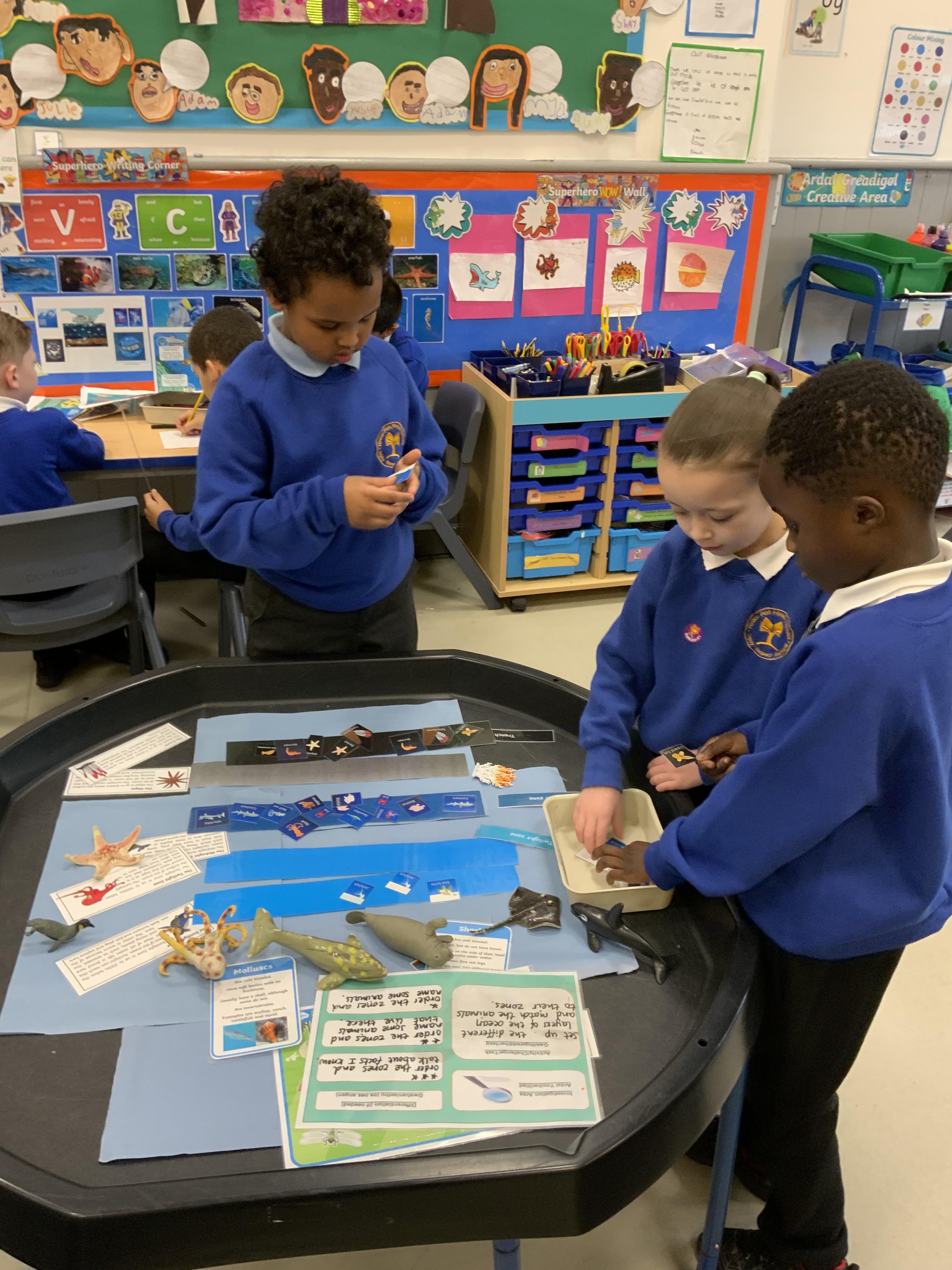 Ordering the layers of the ocean and sorting animals according to where they can be found.